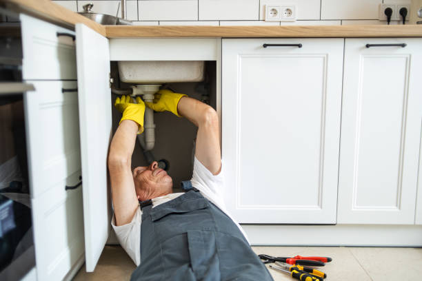 Best Residential Plumbing Services  in Gateway, FL